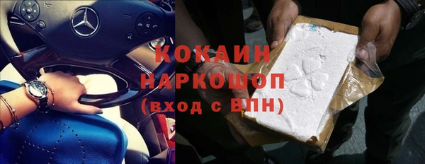 трава Белокуриха