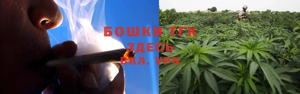 трава Белокуриха
